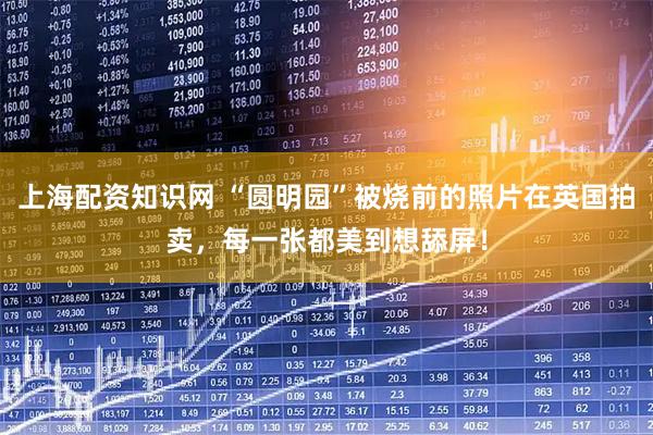 上海配资知识网 “圆明园”被烧前的照片在英国拍卖，每一张都美到想舔屏！